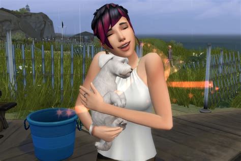 sims 4 adopt stray.